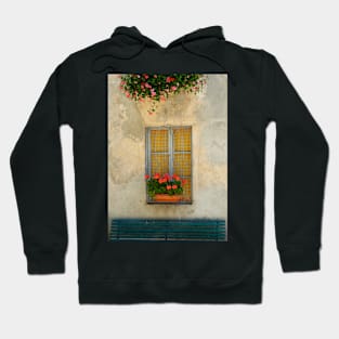 Window with geranium Hoodie